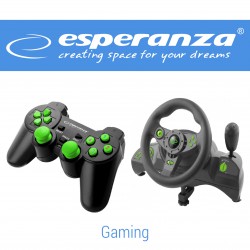 GAMING
